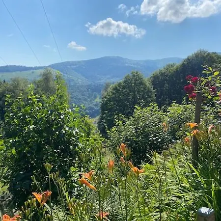 Croc Blanc * Sondernach