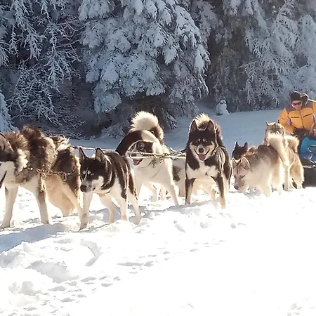 Croc Blanc Sondernach